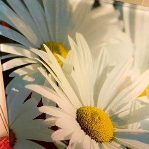 Prima Donna , reversed glass painted tray.